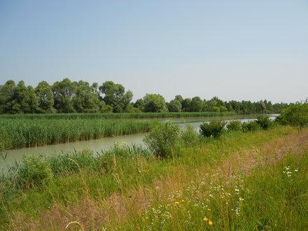 Salzingerhof Διαμέρισμα Kirchdorf am Inn Εξωτερικό φωτογραφία